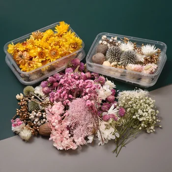 1 Box Pestré Prírodné Sušené Kvety pre Epoxidové Živice Ručné Remeslá DIY Kytice Garland Sviečka, Takže Domov Svadobné Dekorácie